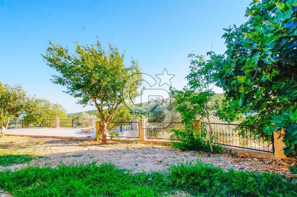 Akkum Caddesi Üzerinde Akkum'a 2 Dk Mesafede Kiralık 2+1 (70 m²)