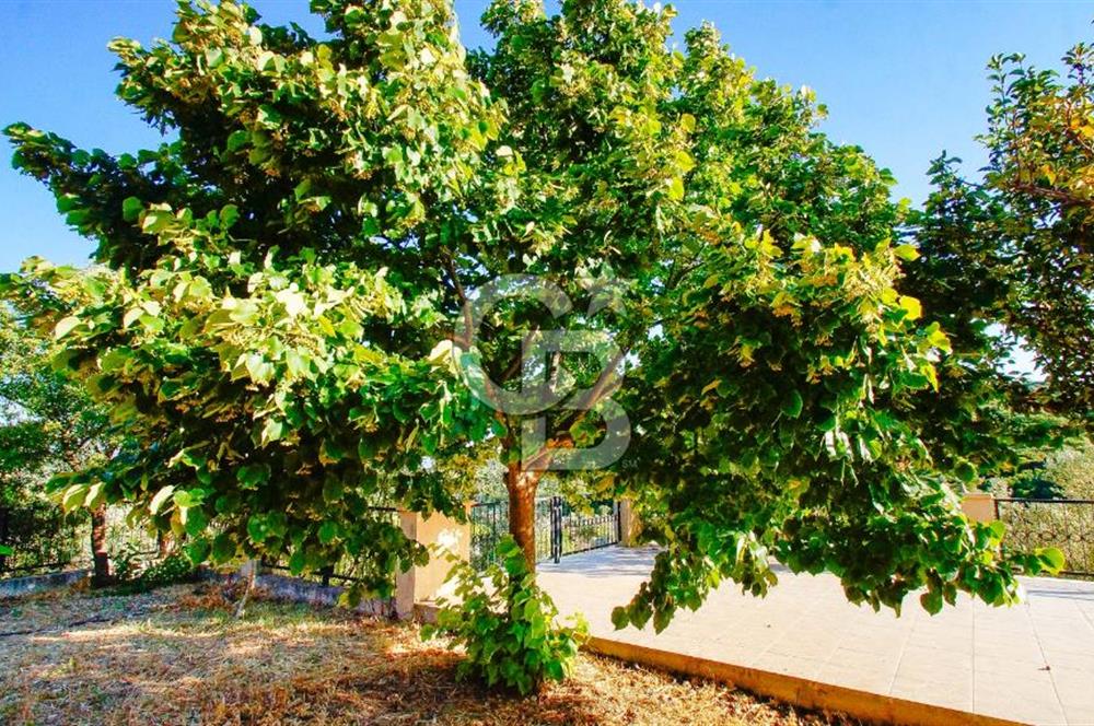 Akkum Caddesi Üzerinde Akkum'a 2 Dk Mesafede Kiralık 2+1 (70 m²)