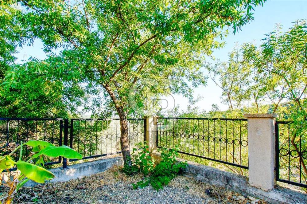 Akkum Caddesi Üzerinde Akkum'a 2 Dk Mesafede Kiralık 2+1 (70 m²)