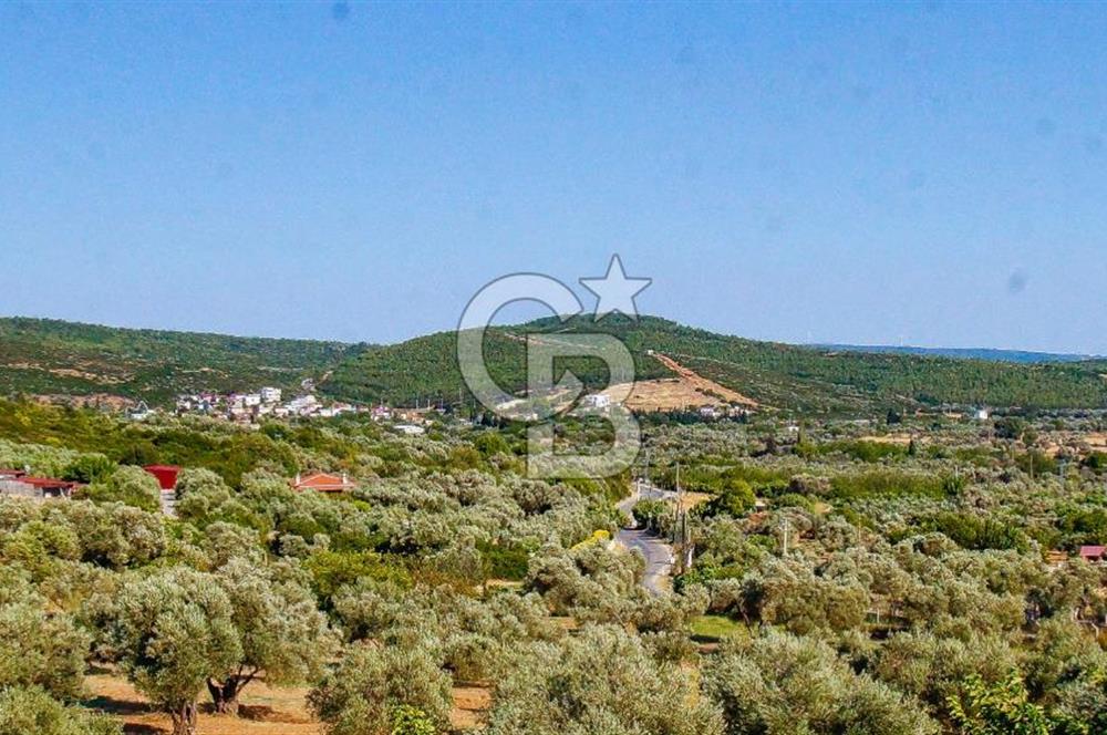 Ege Manzarasıyla Fark Yaratan, İşletmeye Hazır Kiralık Restorant
