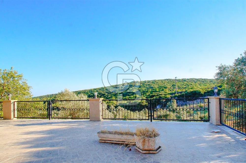 Akkum Caddesi Üzerinde Akkum'a 2 Dk Mesafede Kiralık 2+1 (70 m²)
