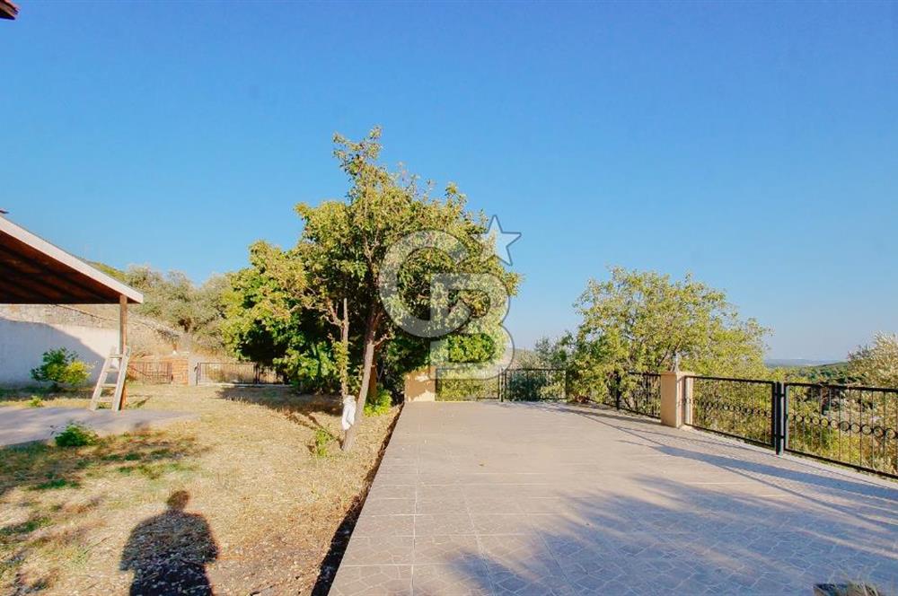 Akkum Caddesi Üzerinde Akkum'a 2 Dk Mesafede Kiralık 2+1 (70 m²)