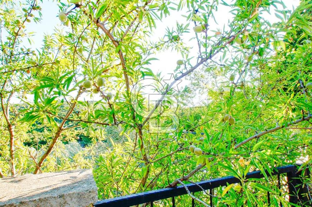 Akkum Caddesi Üzerinde Akkum'a 2 Dk Mesafede Kiralık 2+1 (70 m²)