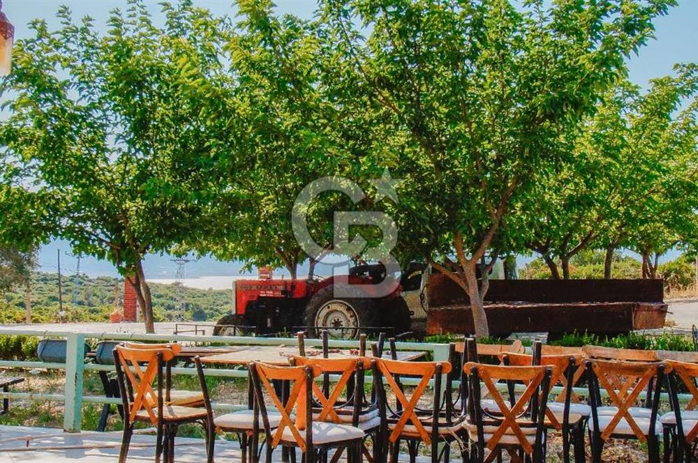Ege Manzarasıyla Fark Yaratan, İşletmeye Hazır Kiralık Restorant