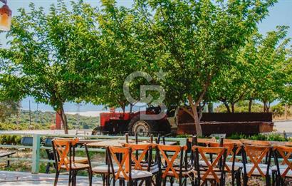 Ege Manzarasıyla Fark Yaratan, İşletmeye Hazır Kiralık Restorant