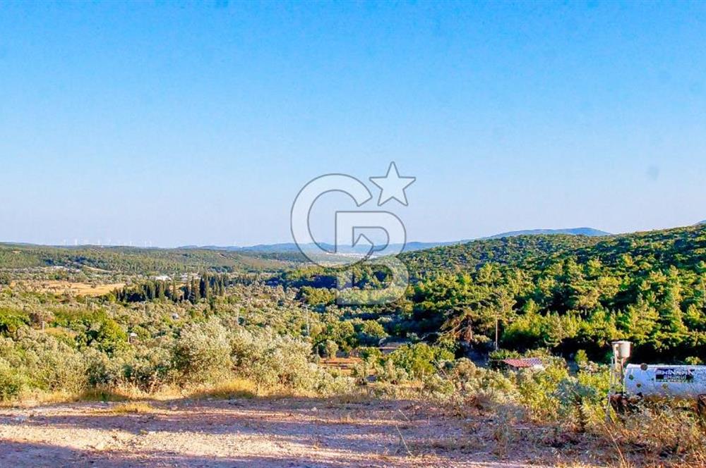 Akkum Caddesi Üzerinde Akkum'a 2 Dk Mesafede Kiralık 2+1 (70 m²)