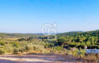 Akkum Caddesi Üzerinde Akkum'a 2 Dk Mesafede Kiralık 2+1 (70 m²)