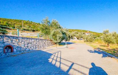 Ege Manzarasıyla Fark Yaratan, İşletmeye Hazır Kiralık Restorant