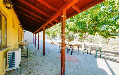 Ege Manzarasıyla Fark Yaratan, İşletmeye Hazır Kiralık Restorant