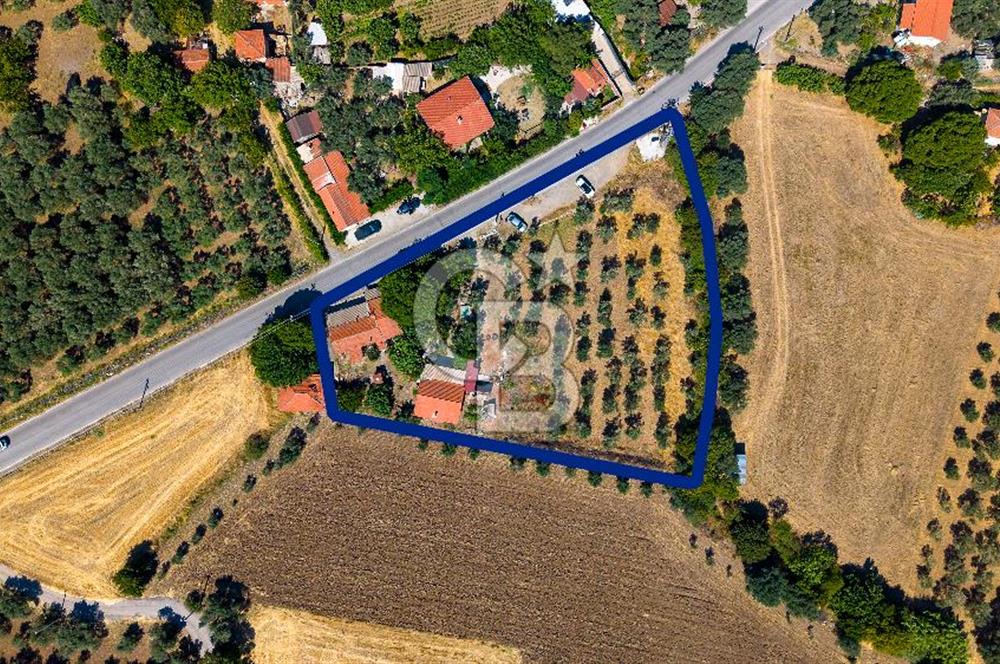 Foça Yenibağarası'nda Anayol Cepheli Satılık Tarla