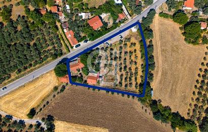 Foça Yenibağarası'nda Anayol Cepheli Satılık Tarla