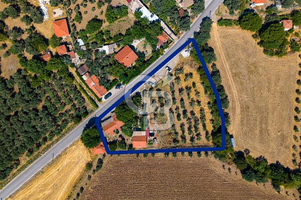 Foça Yenibağarası'nda Anayol Cepheli Satılık Tarla