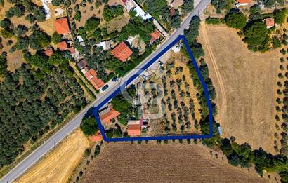 Foça Yenibağarası'nda Anayol Cepheli Satılık Tarla