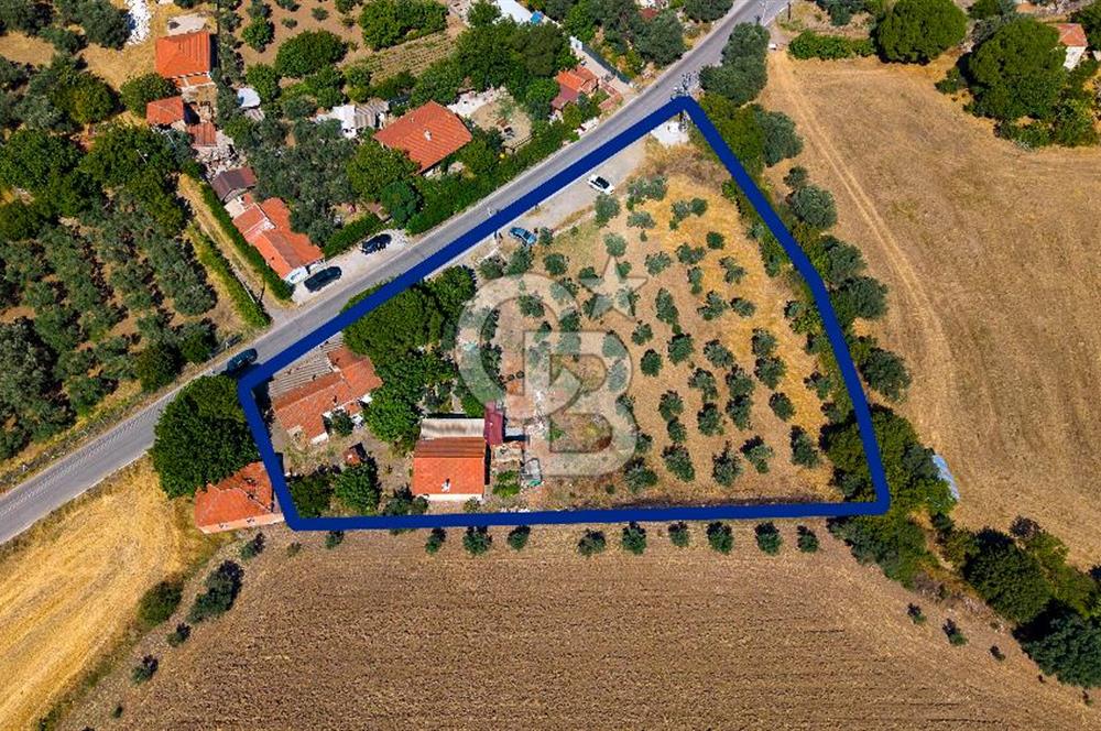Foça Yenibağarası'nda Anayol Cepheli Satılık Tarla