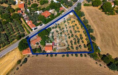 Foça Yenibağarası'nda Anayol Cepheli Satılık Tarla