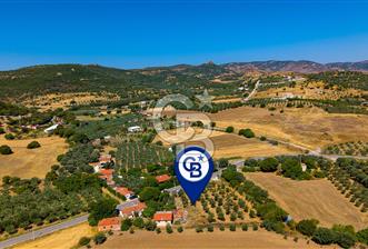 Foça Yenibağarası'nda Anayol Cepheli Satılık Tarla - 6 - 360242