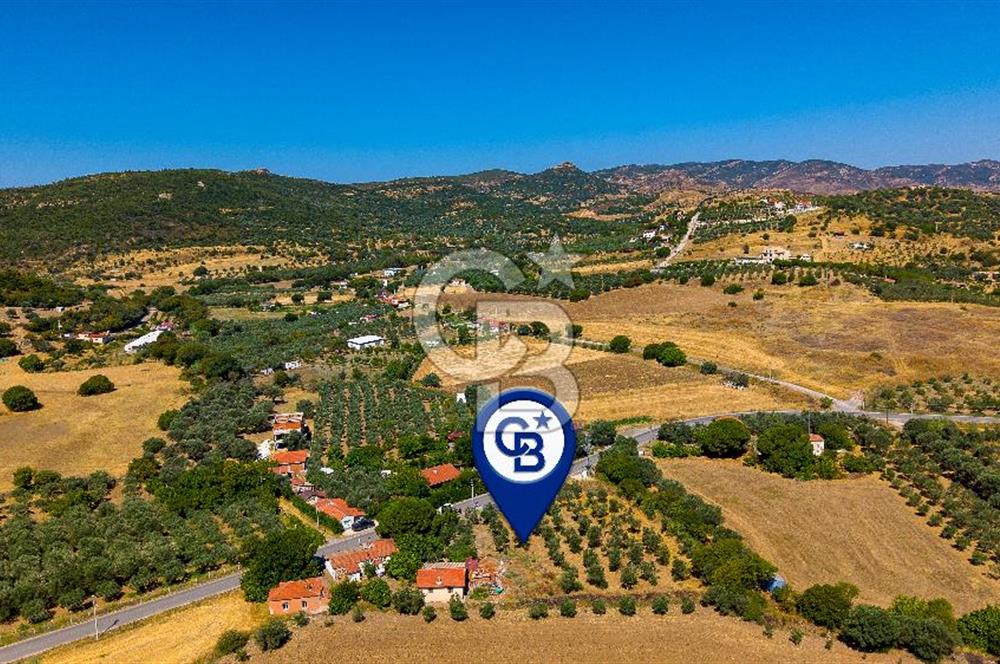 Foça Yenibağarası'nda Anayol Cepheli Satılık Tarla