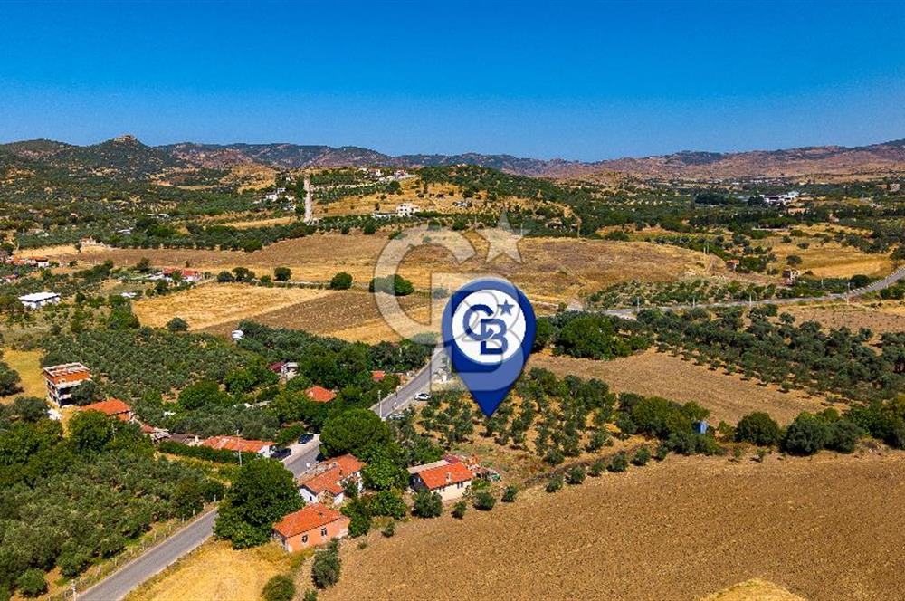 Foça Yenibağarası'nda Anayol Cepheli Satılık Tarla