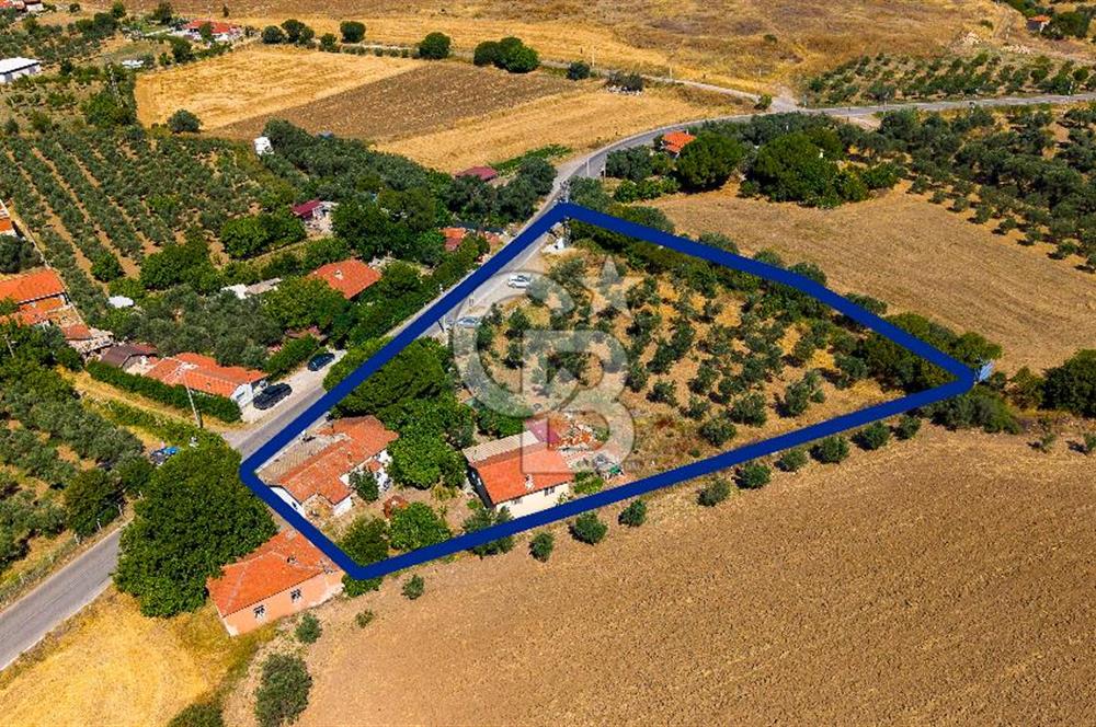 Foça Yenibağarası'nda Anayol Cepheli Satılık Tarla