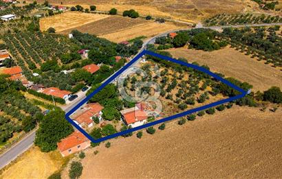 Foça Yenibağarası'nda Anayol Cepheli Satılık Tarla