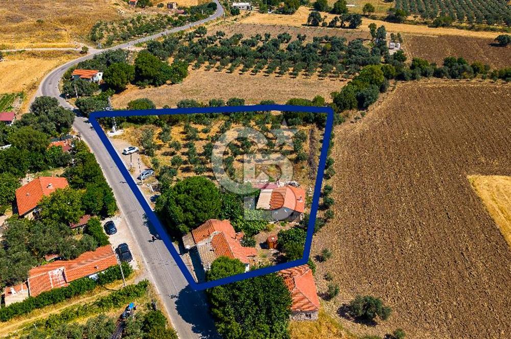 Foça Yenibağarası'nda Anayol Cepheli Satılık Tarla