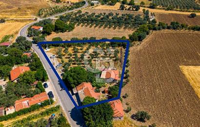 Foça Yenibağarası'nda Anayol Cepheli Satılık Tarla