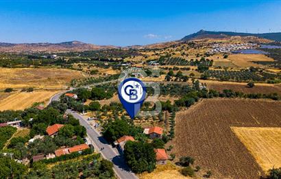 Foça Yenibağarası'nda Anayol Cepheli Satılık Tarla