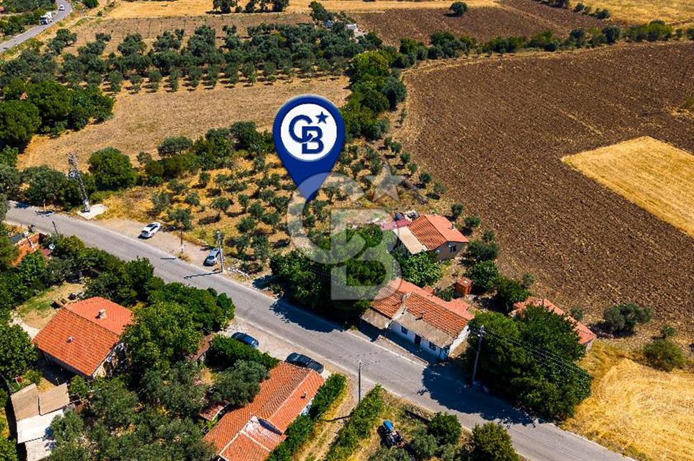 Foça Yenibağarası'nda Anayol Cepheli Satılık Tarla