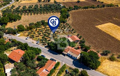 Foça Yenibağarası'nda Anayol Cepheli Satılık Tarla