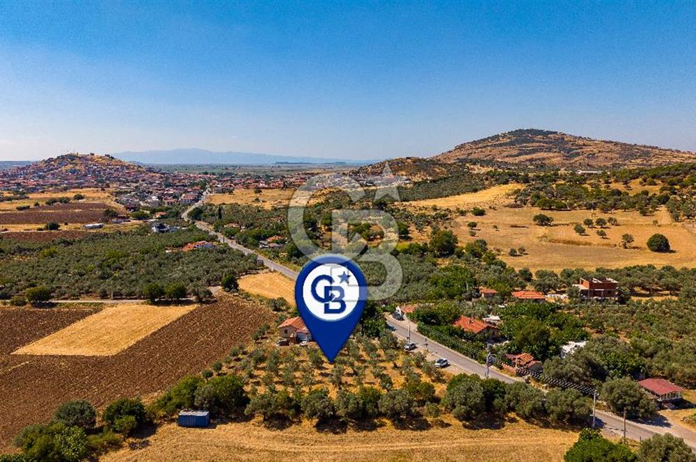 Foça Yenibağarası'nda Anayol Cepheli Satılık Tarla