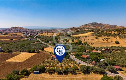 Foça Yenibağarası'nda Anayol Cepheli Satılık Tarla