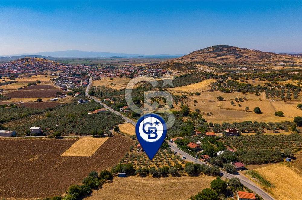 Foça Yenibağarası'nda Anayol Cepheli Satılık Tarla