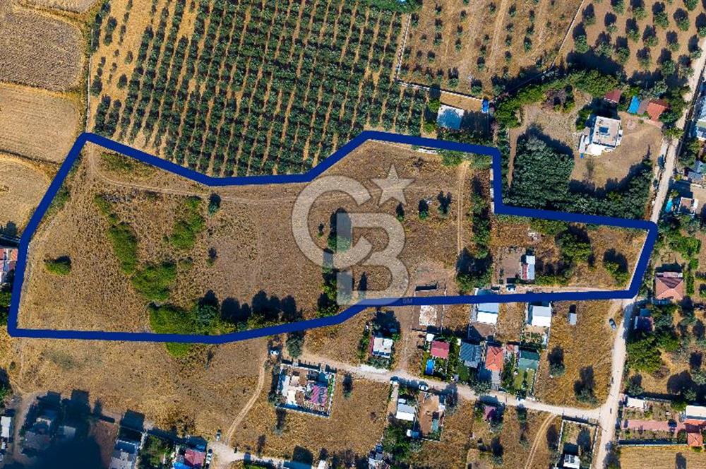 Yenifoça Gencelli Satılık 1180 m2 Tarla