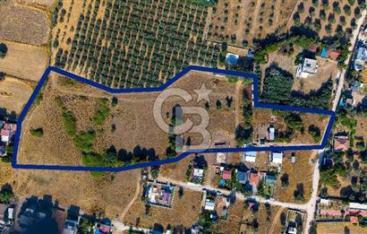 Yenifoça Gencelli Satılık 1180 m2 Tarla
