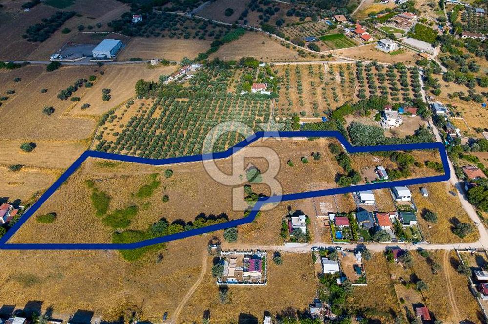 Yenifoça Gencelli Satılık 1180 m2 Tarla