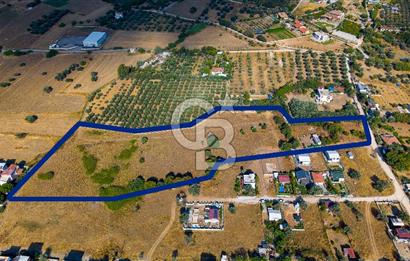 Yenifoça Gencelli Satılık 1180 m2 Tarla