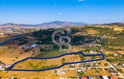 Yenifoça Gencelli Satılık 1180 m2 Tarla
