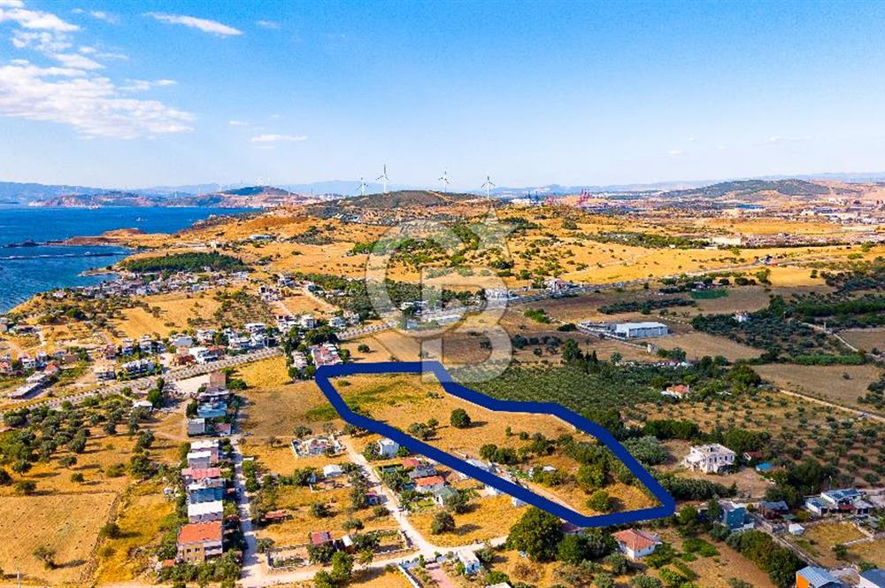 Yenifoça Gencelli Satılık 1180 m2 Tarla