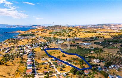 Yenifoça Gencelli Satılık 1180 m2 Tarla