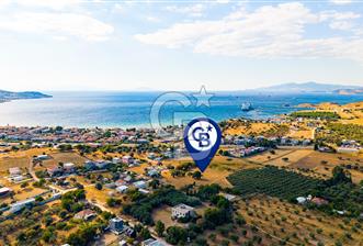 Yenifoça Gencelli Satılık 1180 m2 Tarla - 1 - 360258
