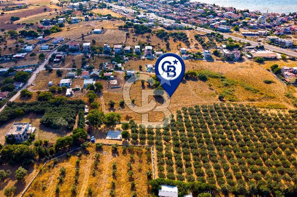Yenifoça Gencelli Satılık 1180 m2 Tarla