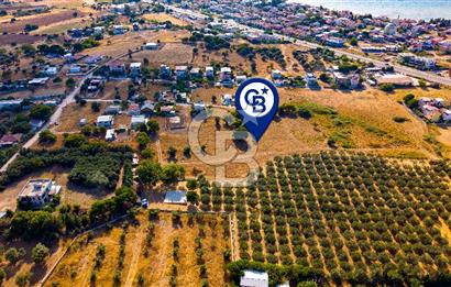 Yenifoça Gencelli Satılık 1180 m2 Tarla
