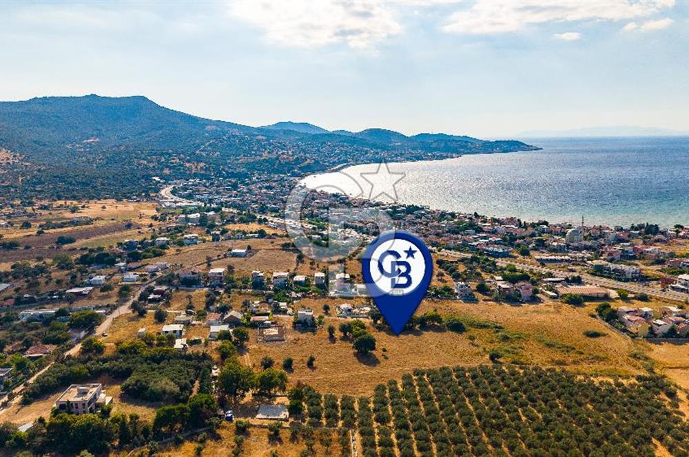 Yenifoça Gencelli Satılık 1180 m2 Tarla