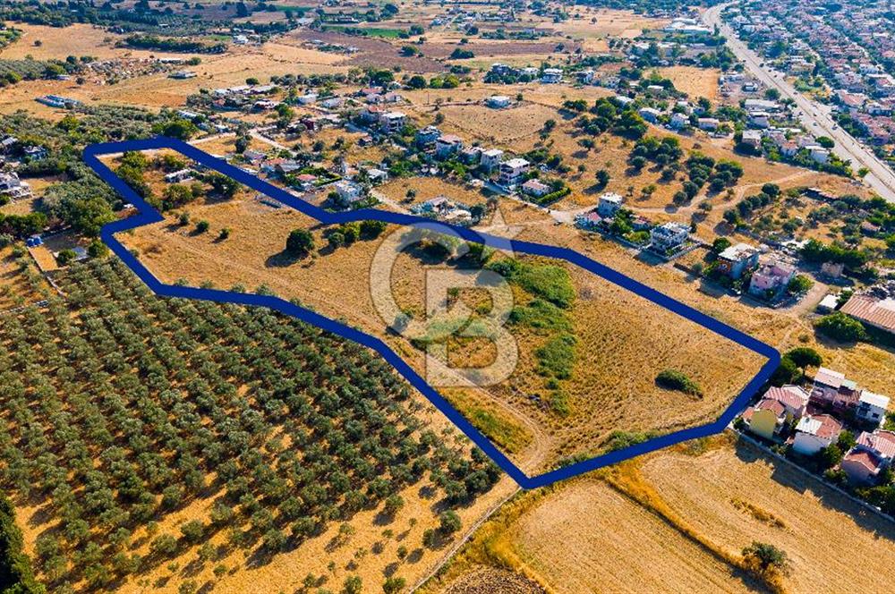 Yenifoça Gencelli Satılık 1180 m2 Tarla