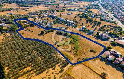 Yenifoça Gencelli Satılık 1180 m2 Tarla