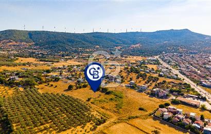 Yenifoça Gencelli Satılık 1180 m2 Tarla
