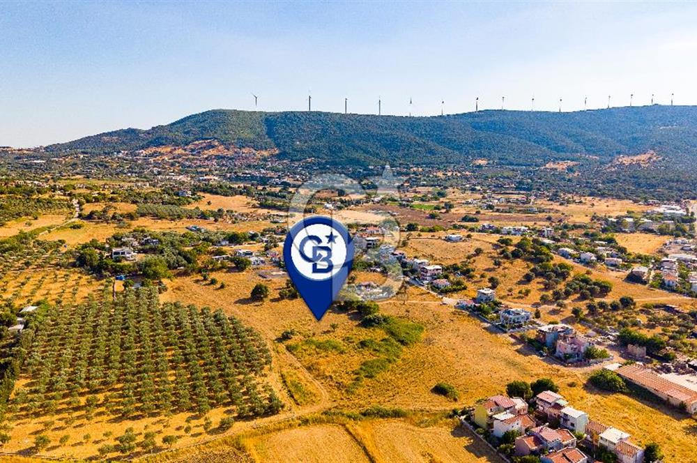 Yenifoça Gencelli Satılık 1180 m2 Tarla