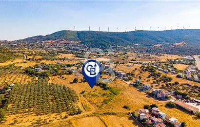 Yenifoça Gencelli Satılık 1180 m2 Tarla