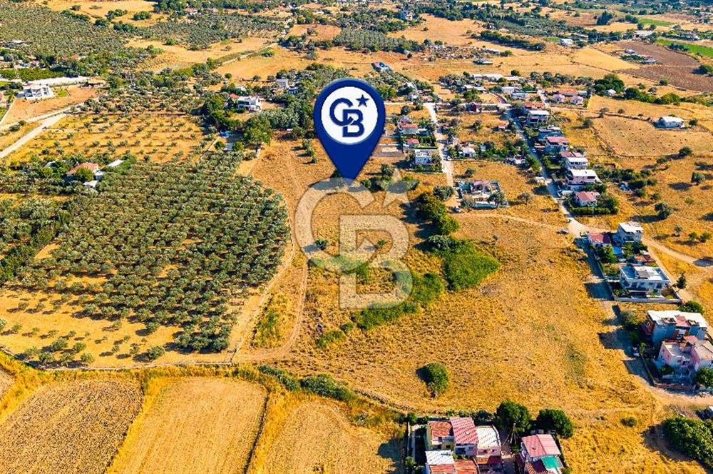 Yenifoça Gencelli Satılık 1180 m2 Tarla