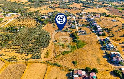 Yenifoça Gencelli Satılık 1180 m2 Tarla